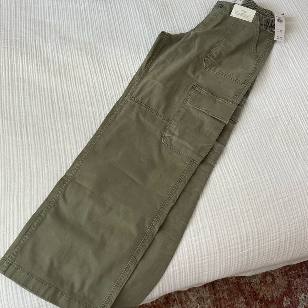 Hollister Baggy Cargo Pants